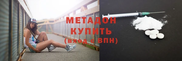 амф Гусь-Хрустальный