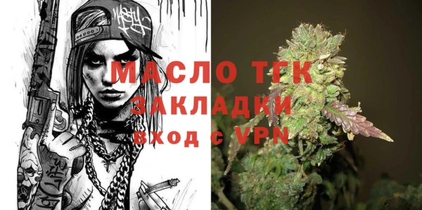 амф Гусь-Хрустальный