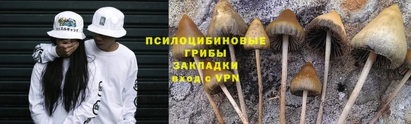ALPHA PVP Михайловка