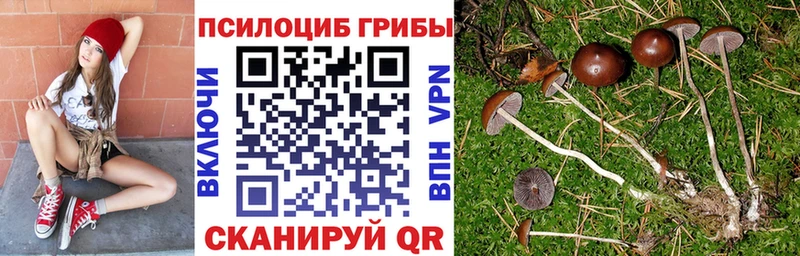 дарнет шоп Пионерский Псилоцибиновые грибы GOLDEN TEACHER